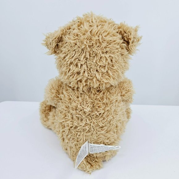 Gund Baby Peek A Boo Bear Plush Stuffed Animal Brown Tan Cream Animated Speaking - Picture 8 of 12